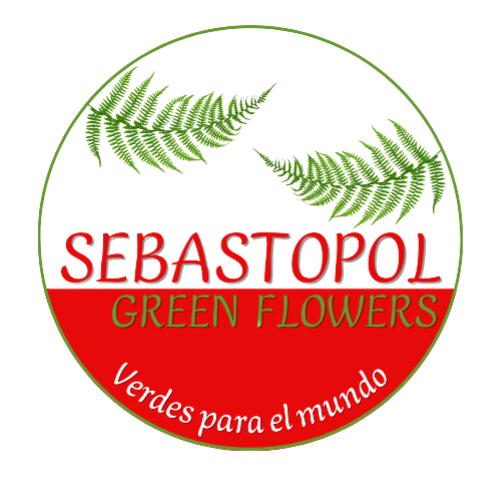 Logo sebastopol